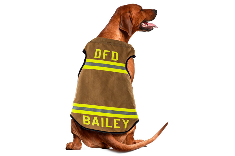 GCS reflective dog vest